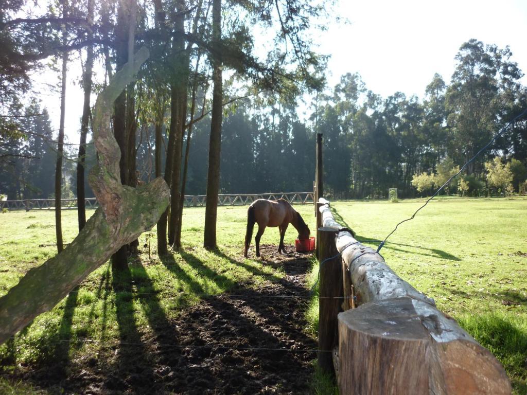 Hotel Hacienda La Carriona Sangolquí Exteriér fotografie